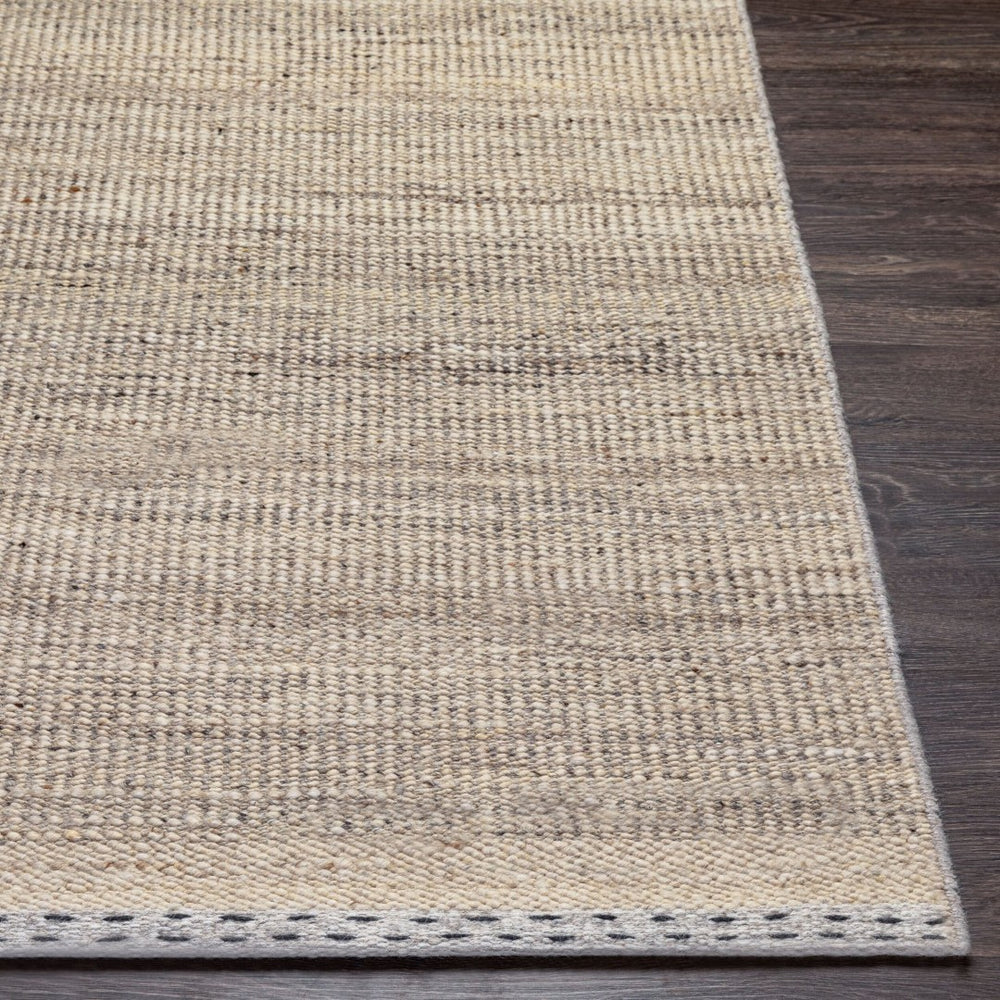 Livabliss Sadie Handwoven Wool Flatweave Area Rug for High Traffic Living and Dining Spaces Tan, Light Beig 2' x 3' SID2300-23