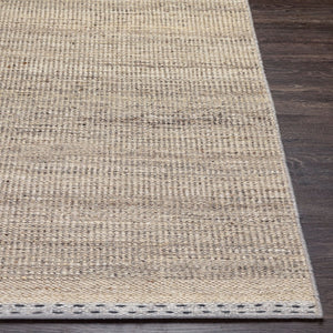 Livabliss Sadie Handwoven Wool Flatweave Area Rug for High Traffic Living and Dining Spaces Tan, Light Beig 2' x 3' SID2300-23