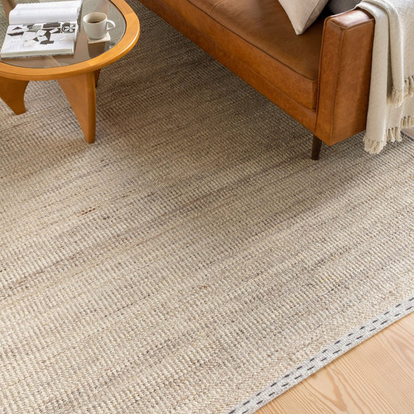 Livabliss Sadie Handwoven Wool Flatweave Area Rug for High Traffic Living and Dining Spaces Tan, Light Beig 2' x 3' SID2300-23