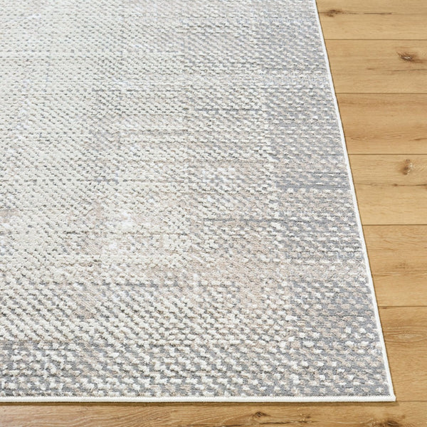 Livabliss Siyah Geometric Mid-century Modern Area Rug Turkish Woven Polypropylene Living Room Oatmeal, Gray 7'10" x 10' SIY2307-71010