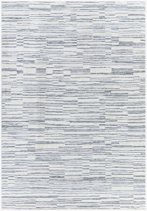 Livabliss Siyah Machine Woven Geometric Area Rug Mid-century Modern Style for Living Room Gray, Light Sla 5'3" x 7' SIY2317-537