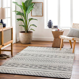 San Jose SJO-2300 9' x 12' Handmade Rug SJO2300-912 Livabliss Surya