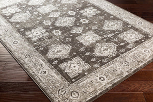 Livabliss Skagen Geometric Polypropylene Indoor Rug Egypt Woven Entryway Accent Floor Mat SKG2309-2211
