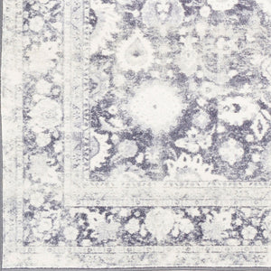 Livabliss Silk Road Traditional Nylon Machine Woven Accent Rug for Entryway or Bath SKR2312-23