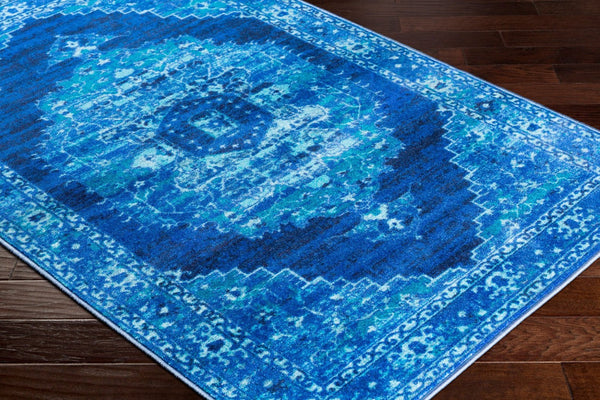 Livabliss Silk Road Traditional Nylon Woven Accent Rug for Entryways Hallways and Small Spaces SKR2318-23