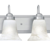 Homestead 24'' Wide 3-Light Vanity Light - Brushed Nickel SL758378 Thomas