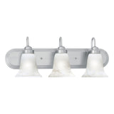 Homestead 24'' Wide 3-Light Vanity Light - Brushed Nickel SL758378 Thomas