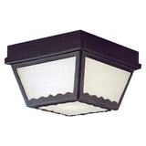 Thomas Wavy 9.5'' Wide 2-Light Outdoor Flush Mount