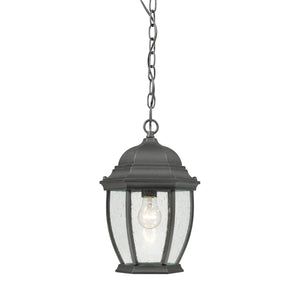 Covington 9.5'' Wide 1-Light Outdoor Pendant - Black SL92337 Thomas