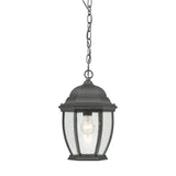 Thomas Covington 9.5'' Wide 1-Light Outdoor Pendant