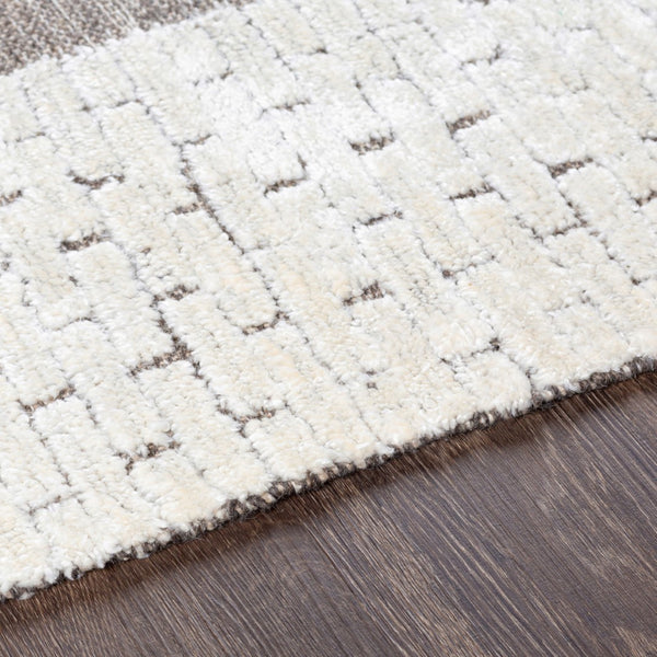 Surya Salinas 2' X 3' Handmade Wool Rug – Elegant Global Design With Durable Construction For Any Room White Wool,Viscose,Cotton Sls2302-576