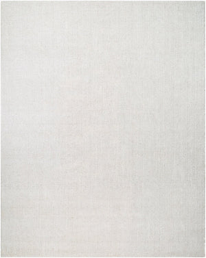 Livabliss Salome Hand-loomed Recycled Pet Area Rug for Living Dining or Sunroom Spaces Ivory, Pearl 2' x 3' SME2300-23