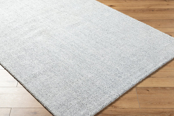 Livabliss Salome Hand Loomed Recycled Pet Area Rug for Living Room Dining or Covered Patio Silver, Dove Gr 10' x 14' SME2301-1014
