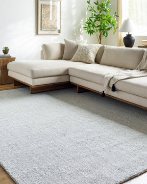 Livabliss Salome Hand Loomed Recycled Pet Area Rug for Living Room Dining or Covered Patio Silver, Dove Gr 10' x 14' SME2301-1014