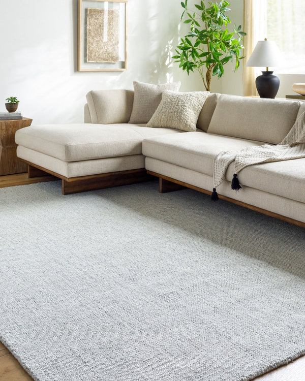 Livabliss Salome Hand Loomed Recycled Pet Area Rug for Living Room Dining or Covered Patio Silver, Dove Gr 10' x 14' SME2301-1014