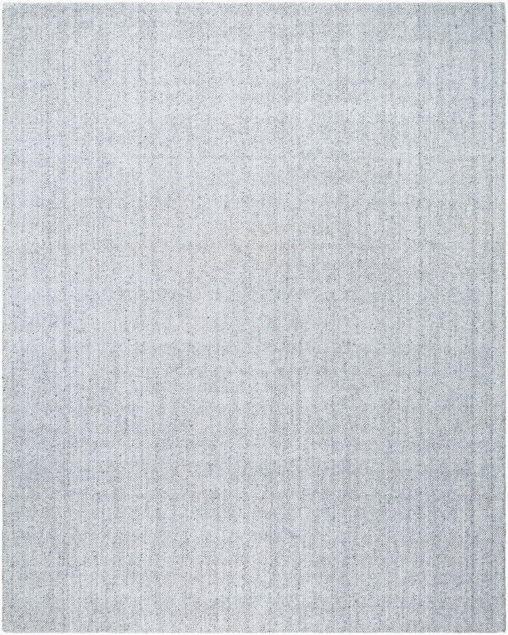 Livabliss Salome Hand Loomed Recycled Pet Area Rug for Living Room Dining or Covered Patio Silver, Dove Gr 10' x 14' SME2301-1014