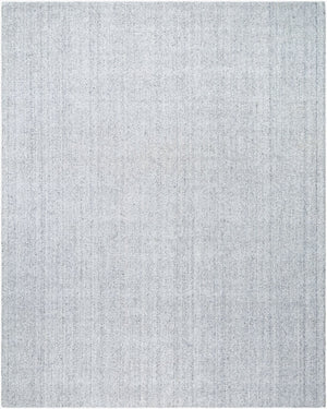 Livabliss Salome Hand Loomed Recycled Pet Area Rug for Living Room Dining or Covered Patio Silver, Dove Gr 10' x 14' SME2301-1014