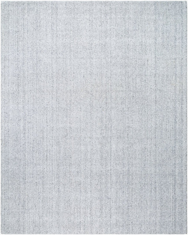 Livabliss Salome Hand Loomed Recycled Pet Area Rug for Living Room Dining or Covered Patio Silver, Dove Gr 10' x 14' SME2301-1014