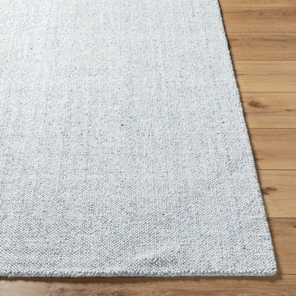 Livabliss Salome Hand Loomed Recycled Pet Area Rug for Living Room Dining or Covered Patio Silver, Dove Gr 10' x 14' SME2301-1014