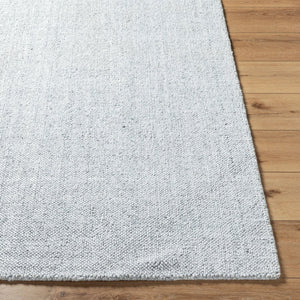 Livabliss Salome Hand Loomed Recycled Pet Area Rug for Living Room Dining or Covered Patio Silver, Dove Gr 10' x 14' SME2301-1014