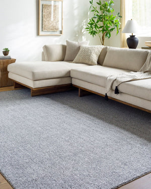 Livabliss Salome Hand-loomed Recycled Pet Area Rug for Indoor Outdoor Living Spaces Slate Gray, Ste 9' x 12' SME2302-912