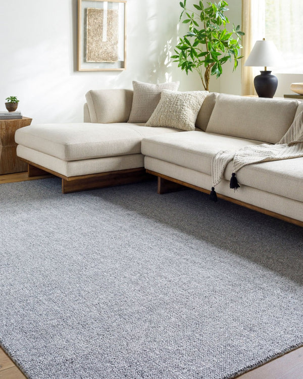 Livabliss Salome Hand-loomed Recycled Pet Area Rug for Indoor Outdoor Living Spaces Slate Gray, Ste 9' x 12' SME2302-912