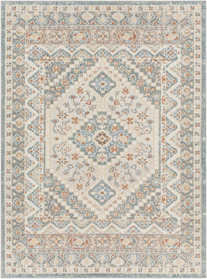 Livabliss Santana Traditional Turkish Machine Woven Polyester Rug for Entryways and Compact Spaces SNN2302-2339