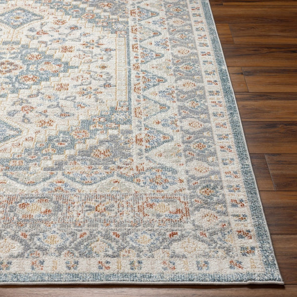 Livabliss Santana Traditional Turkish Machine Woven Polyester Rug for Entryways and Compact Spaces SNN2302-2339