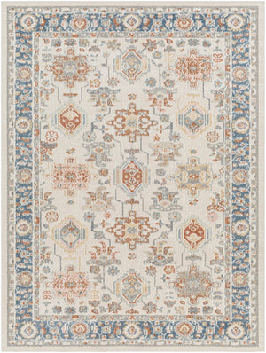 Santana SNN-2303 7'10" x 10' Machine Woven Rug SNN2303-71010 Livabliss Surya