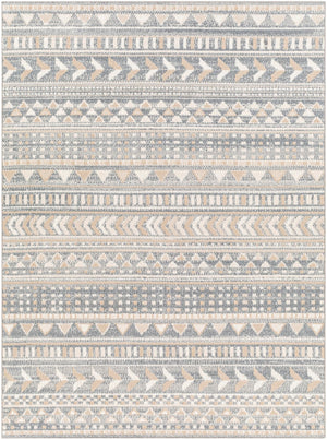 Santana SNN-2304 7'10" x 10' Machine Woven Rug SNN2304-71010 Livabliss Surya