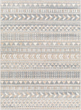 Santana SNN-2304 7'10" x 10' Machine Woven Rug SNN2304-71010 Livabliss Surya