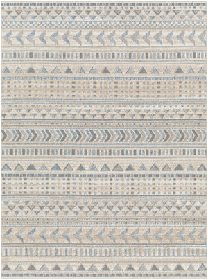 Santana SNN-2305 7'10" x 10' Machine Woven Rug SNN2305-71010 Livabliss Surya