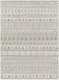 Santana SNN-2305 7'10" x 10' Machine Woven Rug SNN2305-71010 Livabliss Surya