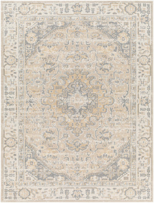 Santana SNN-2307 7'10" x 10' Machine Woven Rug SNN2307-71010 Livabliss Surya