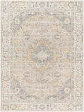 Santana SNN-2307 7'10" x 10' Machine Woven Rug SNN2307-71010 Livabliss Surya