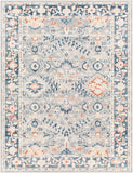 Santana SNN-2308 7'10" x 10' Machine Woven Rug SNN2308-71010 Livabliss Surya