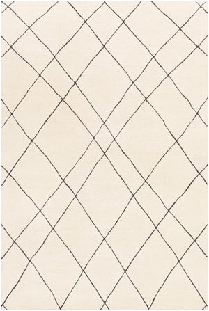 Sinop SNP-2304 5' x 7'6" Handmade Rug SNP2304-576 Livabliss Surya