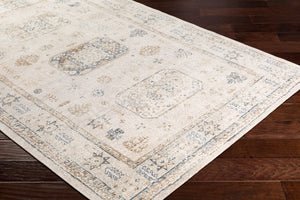 Livabliss Stonewashed Polypropylene Accent Rug with Aged Finish for Entryway or Bedroom SNW2305-23
