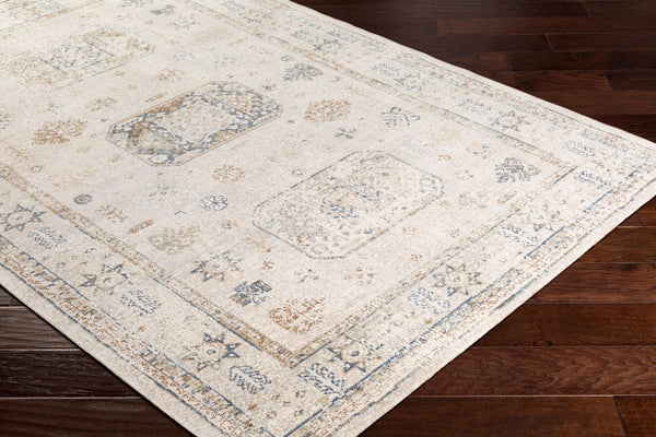 Livabliss Stonewashed Polypropylene Accent Rug with Aged Finish for Entryway or Bedroom SNW2305-23