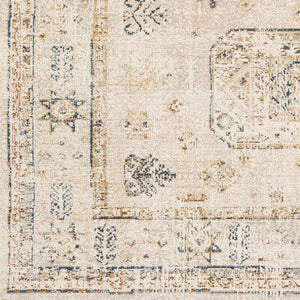 Livabliss Stonewashed Polypropylene Accent Rug with Aged Finish for Entryway or Bedroom SNW2305-23
