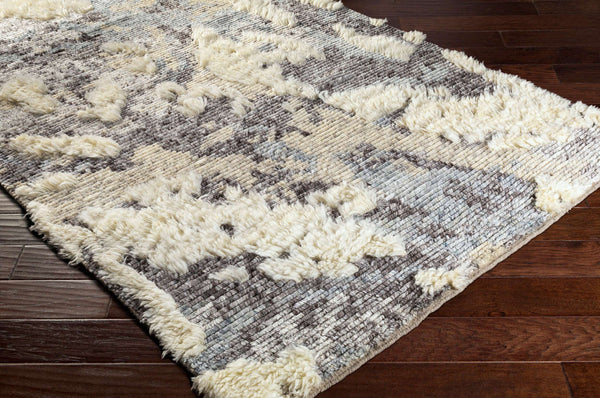 Surya Socrates 10' X 14' Handcrafted Bohemian Wool & Viscose Rug - Elegant Global Style For Your Home Cream Wool,Viscose Soc2301-23