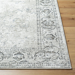 Livabliss Soldado Machine Woven Turkish Area Rug Polypropylene Blend for High Traffic Rooms SOD2309-537