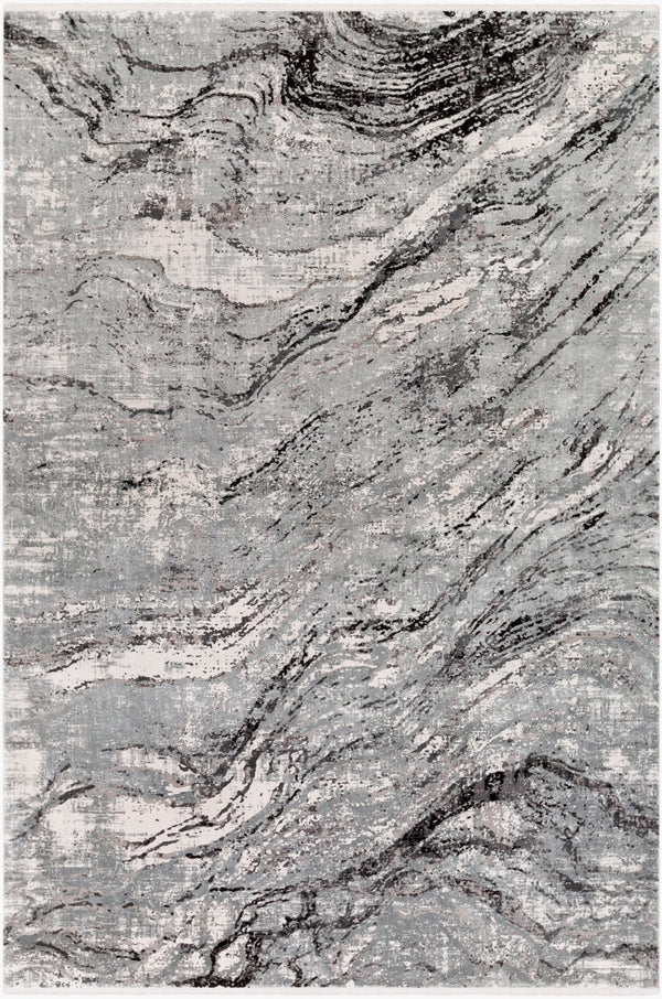 Surya Solar Mid-century Modern Machine Woven Viscose Accent Rug with Fringe for Entryways SOR2309-23
