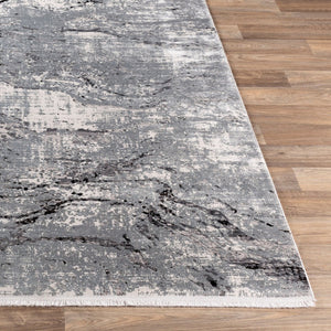 Surya Solar Mid-century Modern Machine Woven Viscose Accent Rug with Fringe for Entryways SOR2309-23