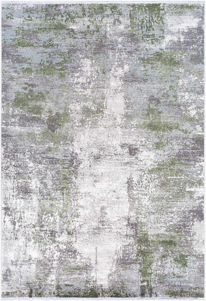 Surya Solar Mid-century Modern Woven Rug 1'11" X 2'11" | Luxurious Soft Feel, Durable, And Stylish Accent Gray Viscose,Acrylic Sor2326-76112