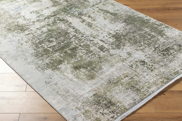Surya Solar Mid-century Modern Woven Rug 1'11" X 2'11" | Luxurious Soft Feel, Durable, And Stylish Accent Light Gray Viscose,Acrylic Sor2327-23