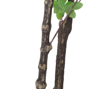 English Elm 180cm Faux Enkianthus Indoor Tree Realistic Disc Leaf Branches Zero Maintenance 74335.00