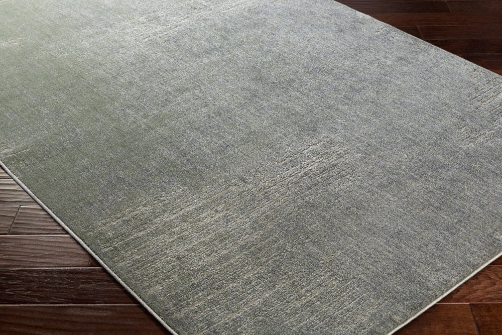 Livabliss Serene High Pile Accent Rug Machine Woven Geometric Neutral for Entryway or Bedroom SRE1010-110211