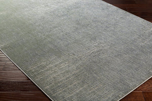 Livabliss Serene High Pile Accent Rug Machine Woven Geometric Neutral for Entryway or Bedroom SRE1010-110211