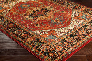 Livabliss Serapi Medallion Polypropylene Area Rug Low Pile Entryway Accent Turkish Woven Burgandy, Black 2'7" x 7'3" SRP1001-2773